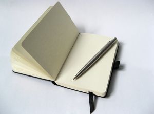 Balance Tip: Keep a "Fix it" Journal